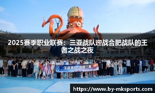 2025赛季职业联赛：三亚战队迎战合肥战队的王者之战之夜